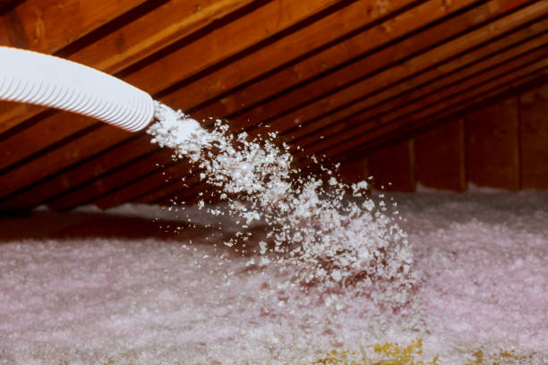 Best Attic Insulation Installation  in Barnwell, SC