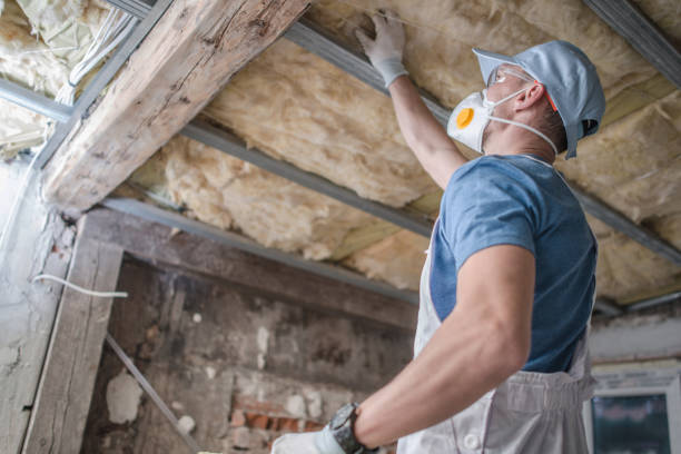 Best Spray Foam Insulation  in Barnwell, SC