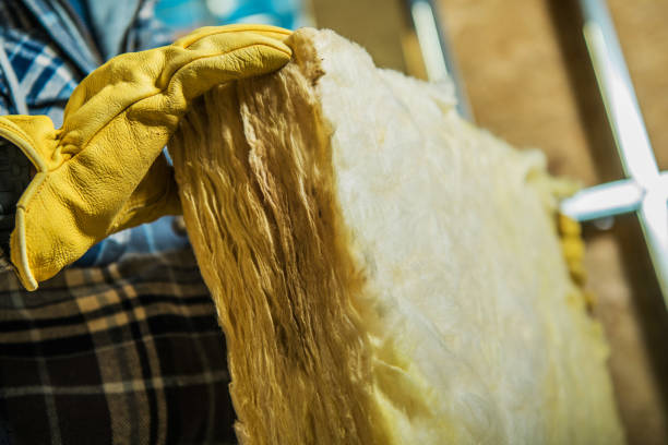 Best Garage Insulation Installation  in Barnwell, SC