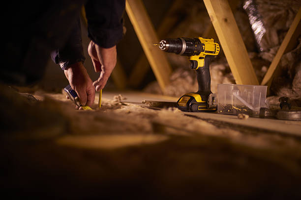 Best Professional Insulation Contractor  in Barnwell, SC