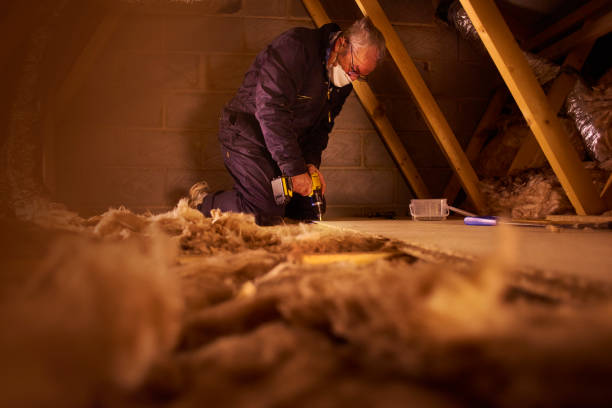 Best Affordable Insulation Services  in Barnwell, SC